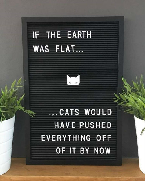 cats flat earth (1).jpg
